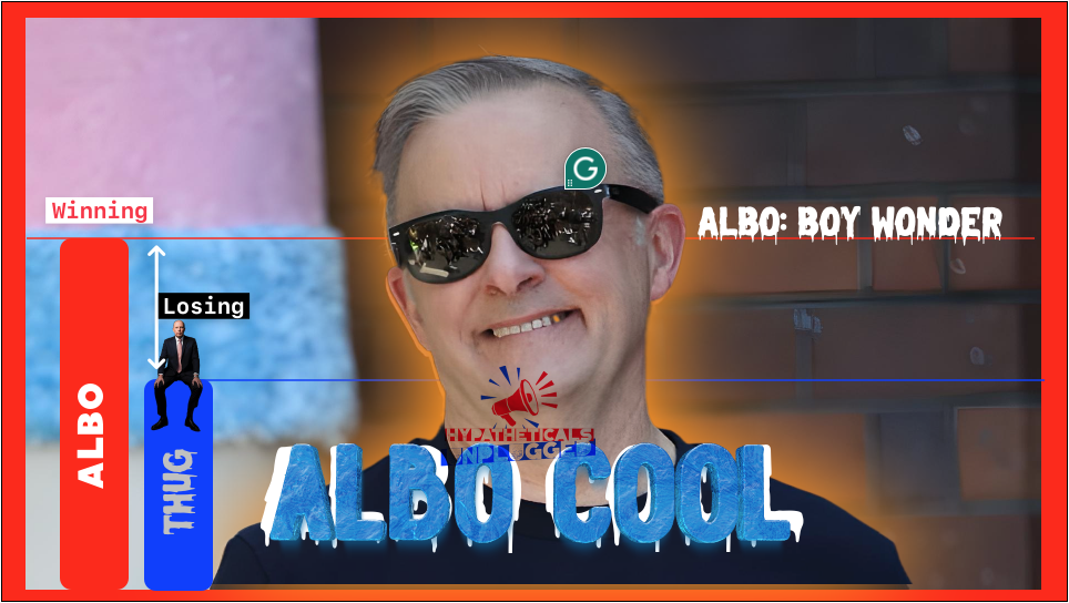 Albo cool winner boy wonder